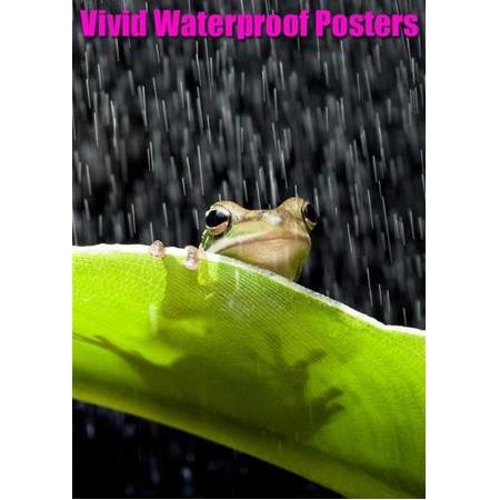 WT145 145mic/195gr Mat Beyaz Film A3 100adet/pk